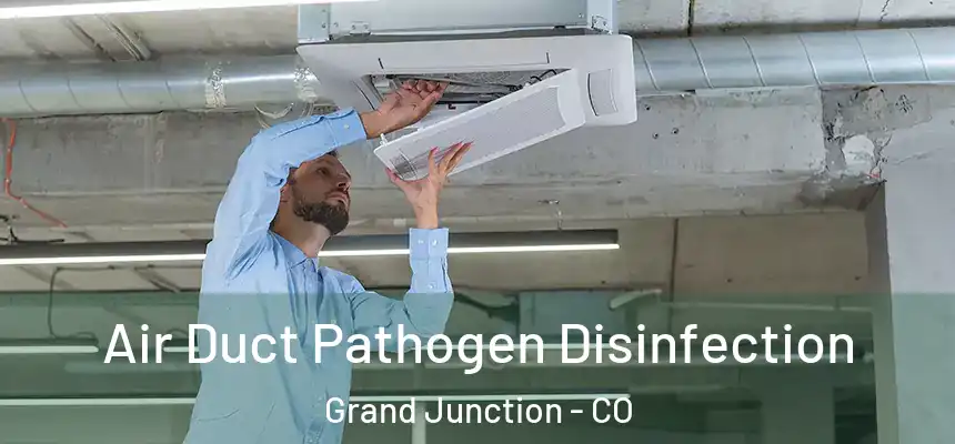 Air Duct Pathogen Disinfection Grand Junction - CO