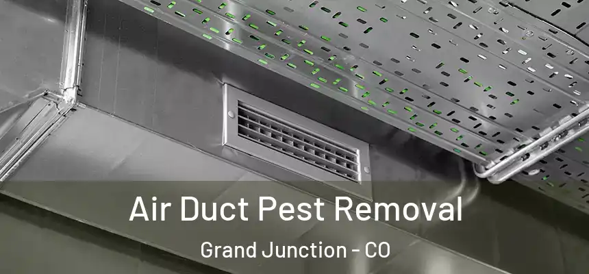 Air Duct Pest Removal Grand Junction - CO