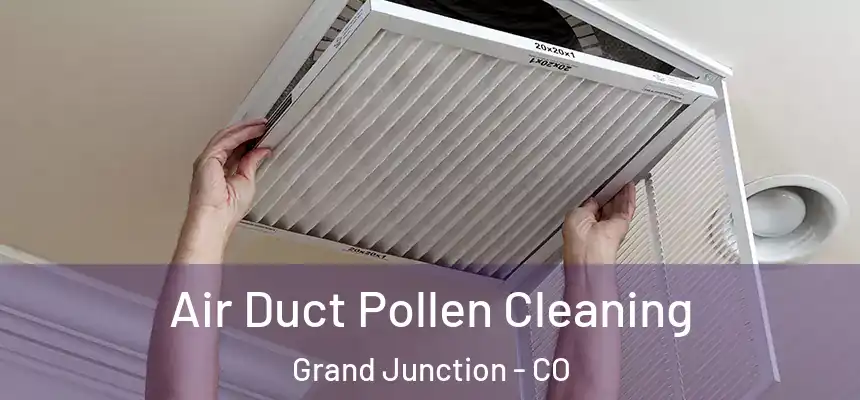 Air Duct Pollen Cleaning Grand Junction - CO