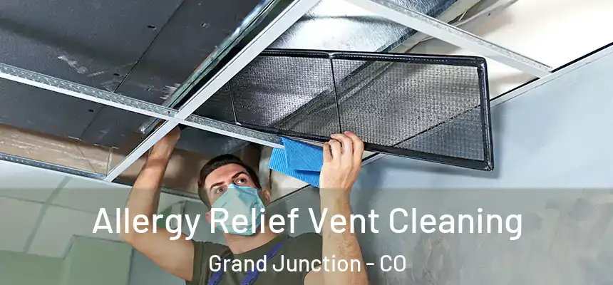 Allergy Relief Vent Cleaning Grand Junction - CO