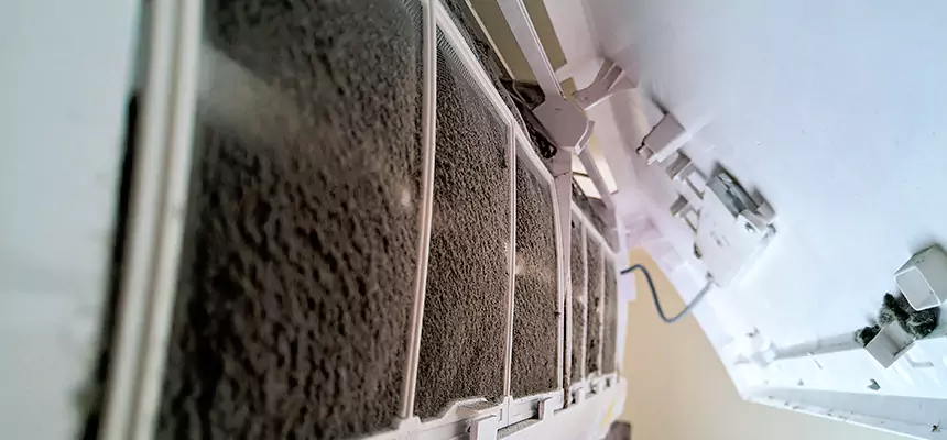 Preventive Air Duct Bacteria Removal in Grand Junction