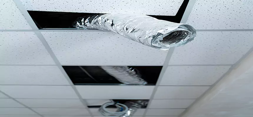 Our Air Duct Pet Hair Removal Services in Grand Junction, CO