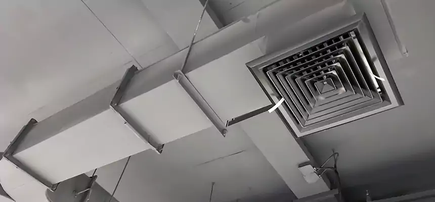 Restorative Allergy Relief Vent Cleaning – Coil, Blower & Housing Detail in Grand Junction