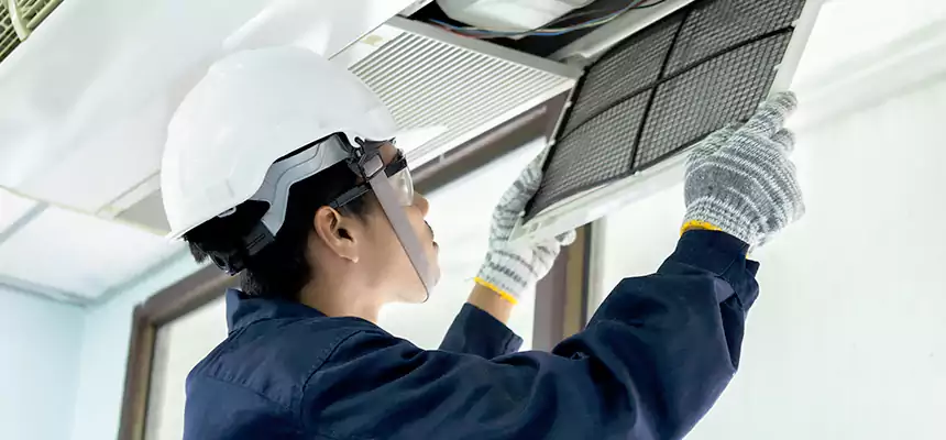 Our Mold & Mildew Removal from Air Ducts Services in Grand Junction, CO