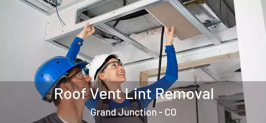 Roof Vent Lint Removal Grand Junction - CO