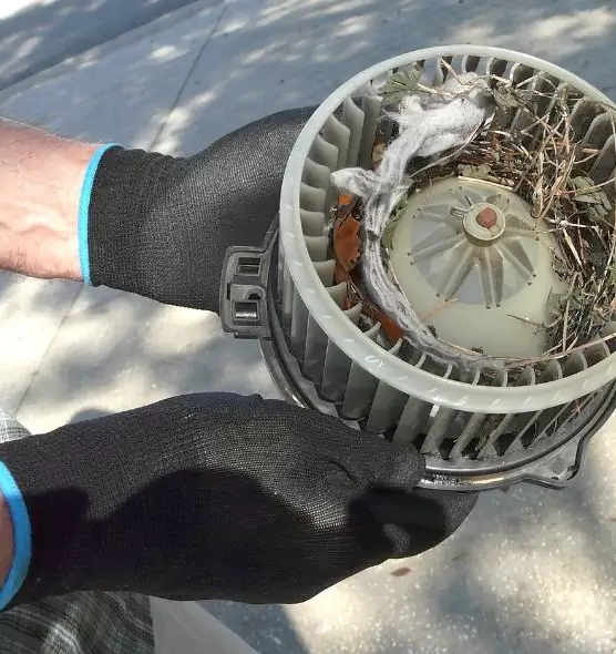 About Air Duct Mice Removal in Grand Junction, CO