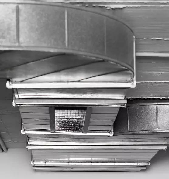 Professional Air Duct Pest Removal in Grand Junction, CO