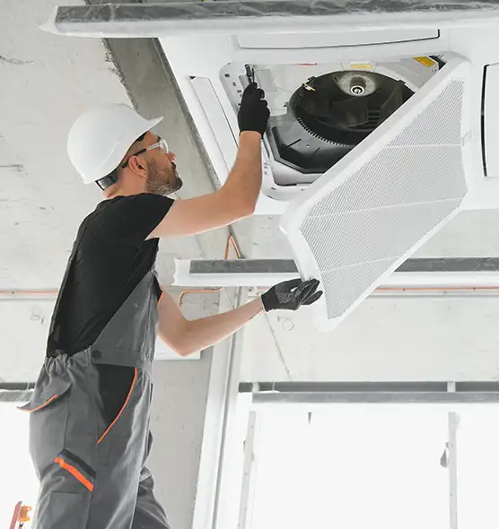 About Air Duct Rodent Removal in Grand Junction, CO