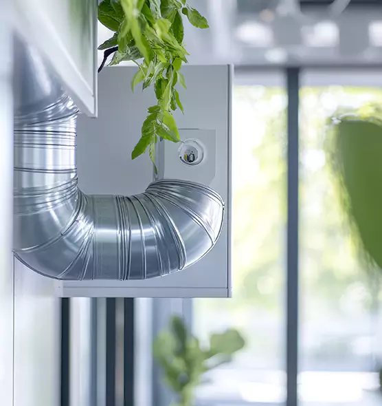 Professional Eco-Friendly Duct Cleaning Services in Grand Junction, CO