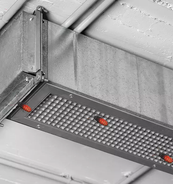 Affordable Insect Removal from Air Ducts in Grand Junction, CO