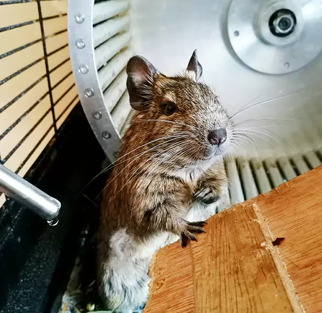 Why Homeowners & Businesses Trust Us Grand Junction, CO